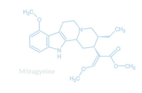 mitragynine structure